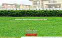 Lot for Sale in Cabanatuan City, Nueva Ecija